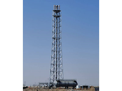 江蘇晉控-高架火炬圖片2