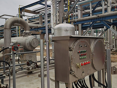 青島金能-地面火炬圖片2